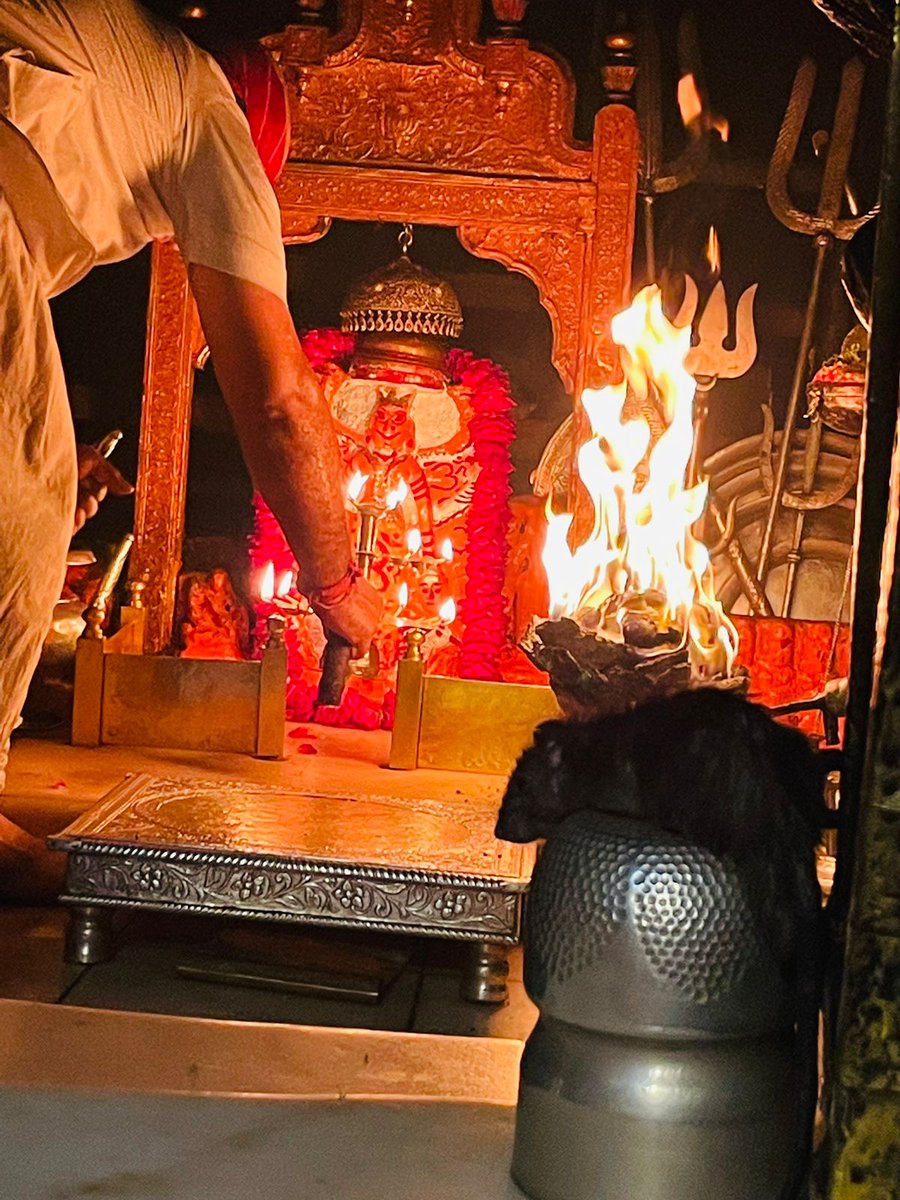 triptidaudsar's tweet photo. @RavindraBhati__ 
एडो माननो है की जद डोकरी रो सफेद काबो दिखे तो बढ़िया शगुन होवे है । आज सुबह देशनोक मंदिर सु आई सफेद काबा और डोकरी रे दर्शन आपरे वास्ते भेज री हूं। मां भगवती आपरी भली करे और आपने और आप्रे हाते वाला रे कृपा राखे। 

जय भवानी 
जय मां करणी जय जय मां करणी 🦅🚩 https://t.co/rUKLr57q2X