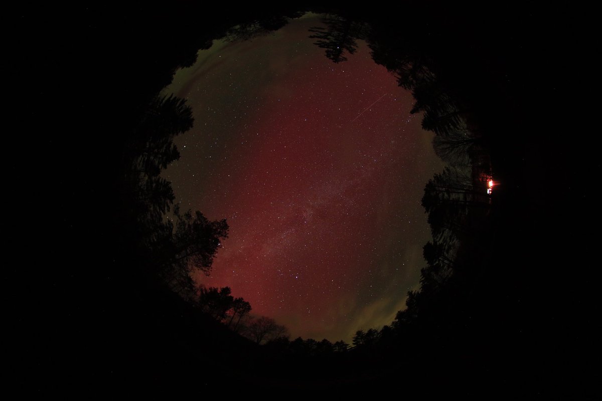 Stable Auroral Red (SAR) Arc over my backyard in New Hampshire tonight #Astrophotography