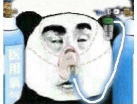 reactions on X: "chinese meme panda in hospital on respirator https://t.co/AkhaKBWrRx" / X