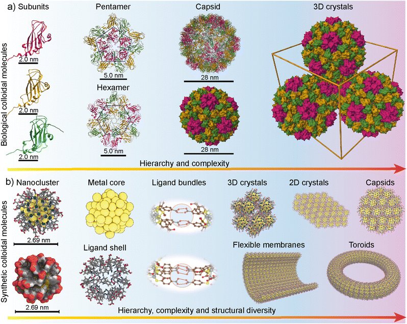 Can precision nanoengineering benefit from the principles and structures of biological particles? @ENS_TampereUni @Materials_TAU @nonappa   pubs.rsc.org/en/content/art…