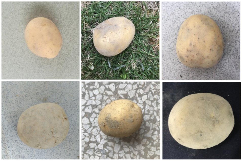 AgricultureMdpi's tweet image. #AgricultureMdpi – Editor's Choice Article
Potato Surface Defect Detection Based on Deep Transfer Learning
by Chenglong Wang et al.
Link: doi.org/10.3390/agricu…
#potatosurfacedefectdetection #deepconvolutionalneuralnetworks #SSD #fasterRCNN #objectdetection