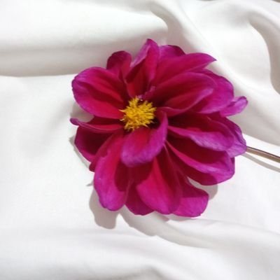 Mauricio Fuentes tweet media
