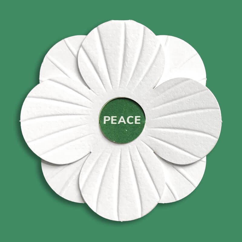 I will be wearing a white poppy this year, it’s not in support of or a statement against anyone or any country. It is a simple call for peace which we need now more than ever. #PeaceForAll #BlessedAreThePeacemakers