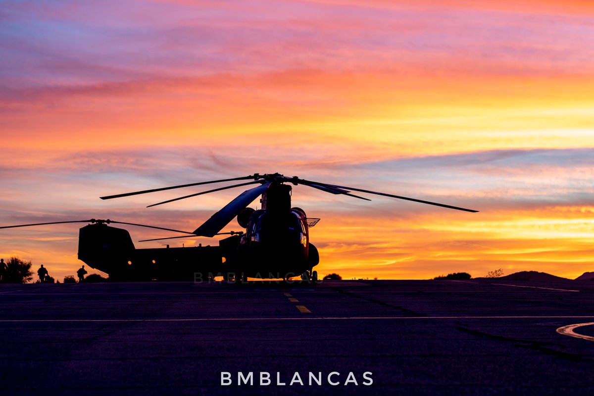 Beatriz M. Blancas tweet media