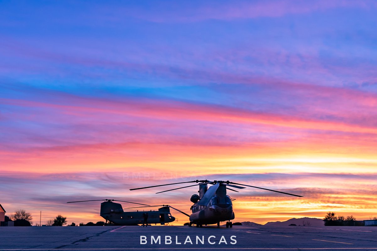 Beatriz M. Blancas tweet media