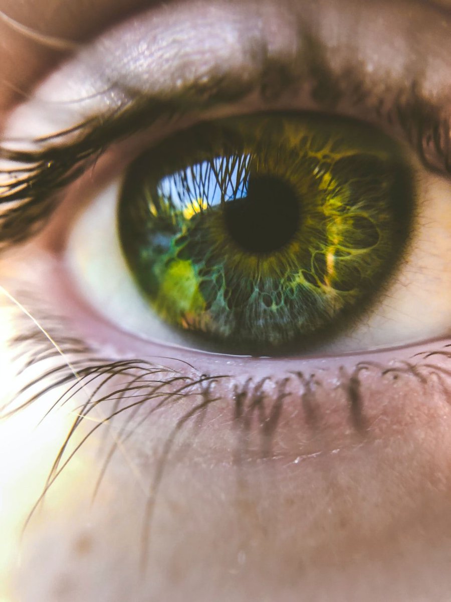 zackcapp's tweet photo. Kiora - AAO Late-Breaking: Kiora’s Small Molecule Photoswitch Demonstrates Meaningful Vision Improvements in Blind Patients with Retinitis Pigmentosa #bigdeal #clinicaldata $KPRX

https://t.co/3ZlWrbb8Dk https://t.co/AgUfW6ZXy6