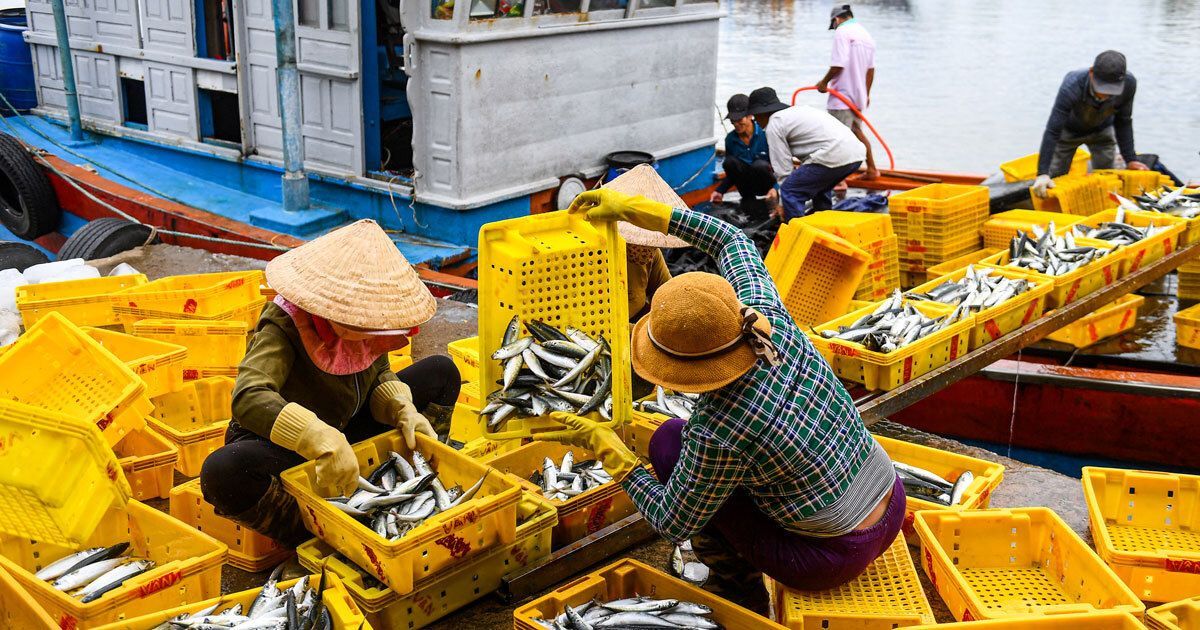Helping organisations with sustainable fishing initiatives is one of our passions, which is why we're attending the World Fisheries Congress in Seattle.

This <a href="/TheAge/">The Age</a> feature illustrates the dramatic effect of unprecedented overfishing.

theage.com.au/interactive/20…