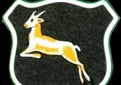 cameronkpeters_'s tweet image. The Springbok, and the Colours of the National South African Rugby squad.

Let me explain:

The Springbok symbol and Colours, being green and gold, were designed by Paul Roos in 1906. Paul Roos was the Captain of the whites-only National Rugby squad.

In 1963, the South African…
