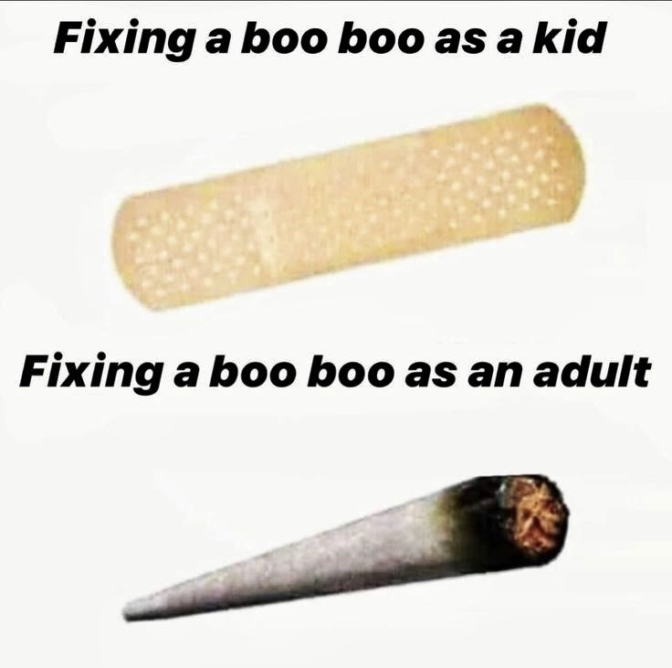 TheNegative1's tweet image. Im done