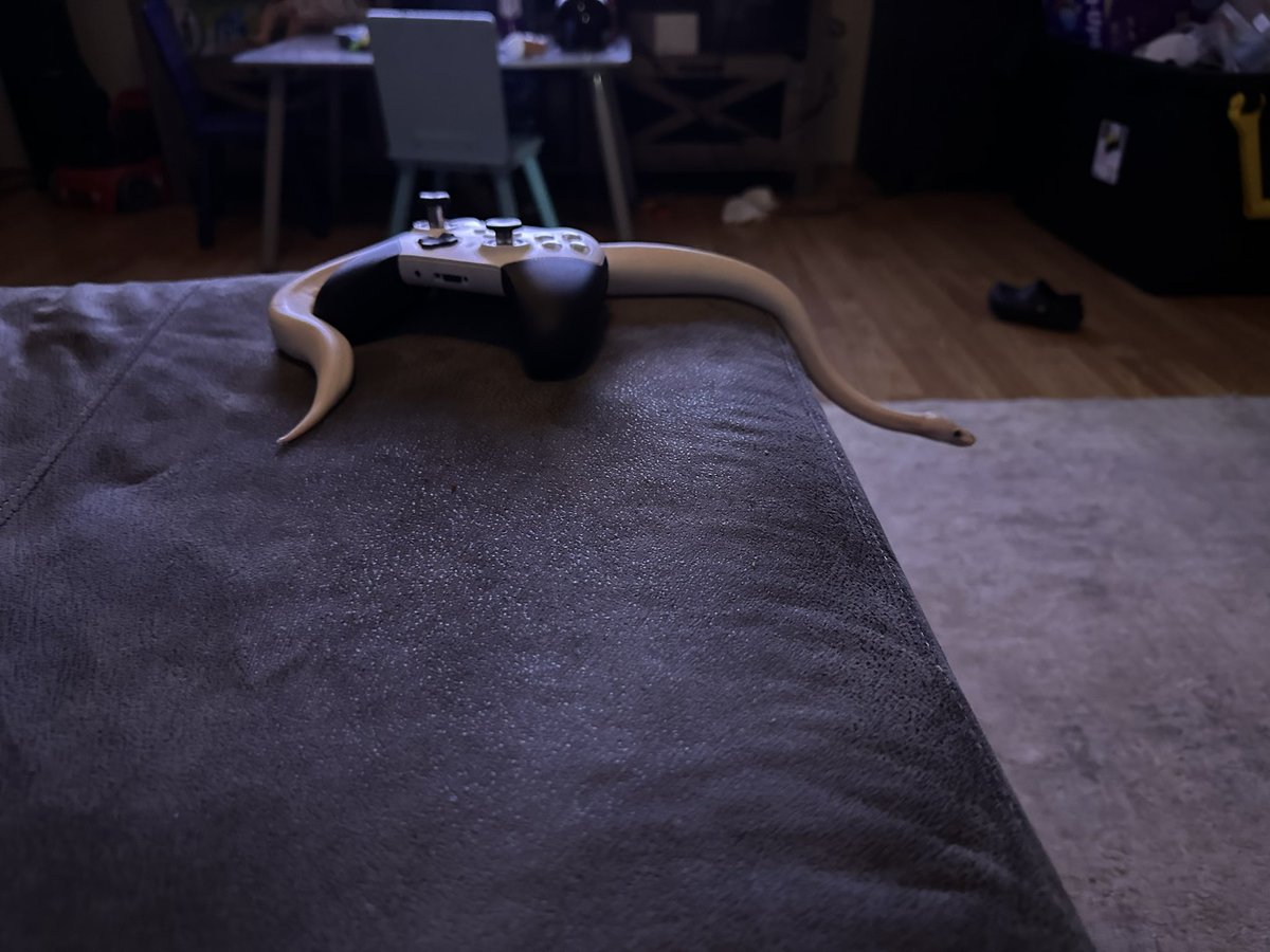 “hey you guys wanna play some xbox”