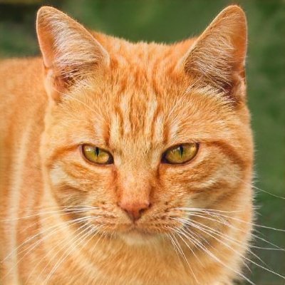 beril güneş tweet media