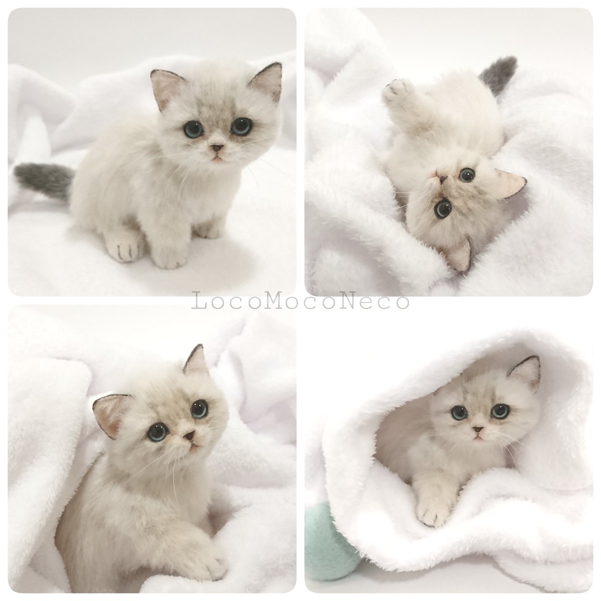 羊毛フェルトでできた激かわマンチカンちゃん爆誕!!🎉 冬のイメージに