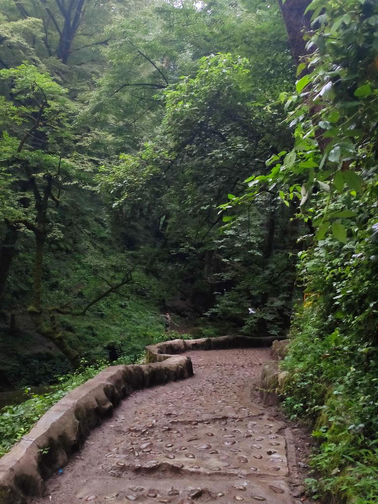 Collection: Photography
Edition:10
Price: 5.5ꜩ
Objkt address:
objkt.com/asset/KT1QDHfB…
The route of Rudkhan Castle is one of the most popular routes in the north of Iran.
#NFTs #NFTCommunity
 #nftdrop
#photo
#photography
#NFTCollections #Nftcollector #nft_shill #tezos #objktcom