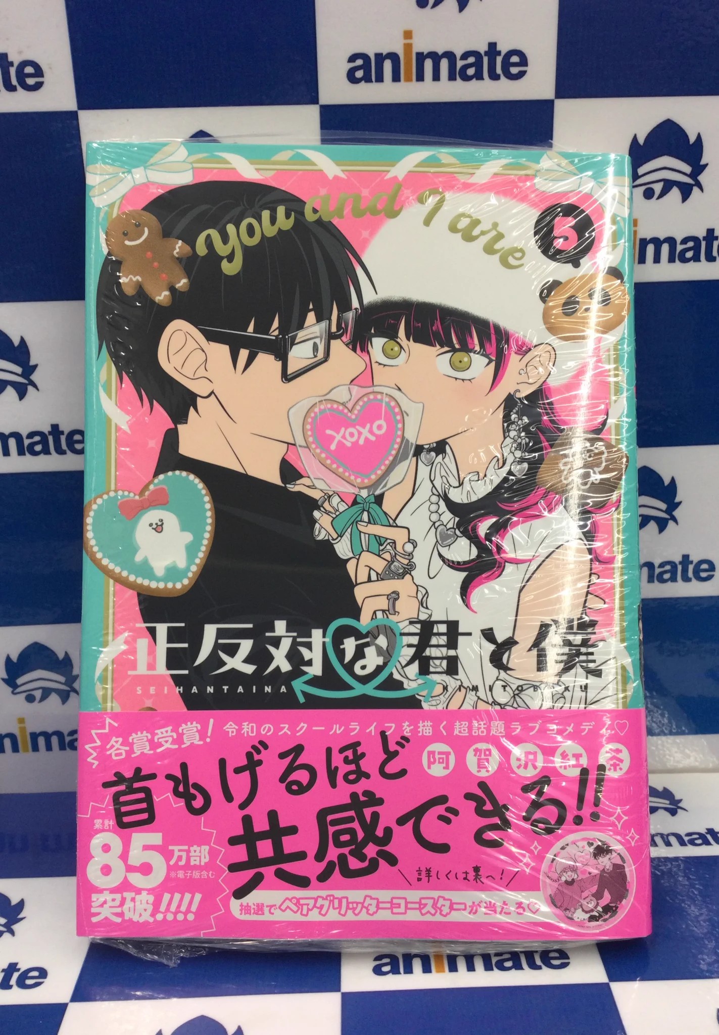 アニメイト池袋本店 on X: 