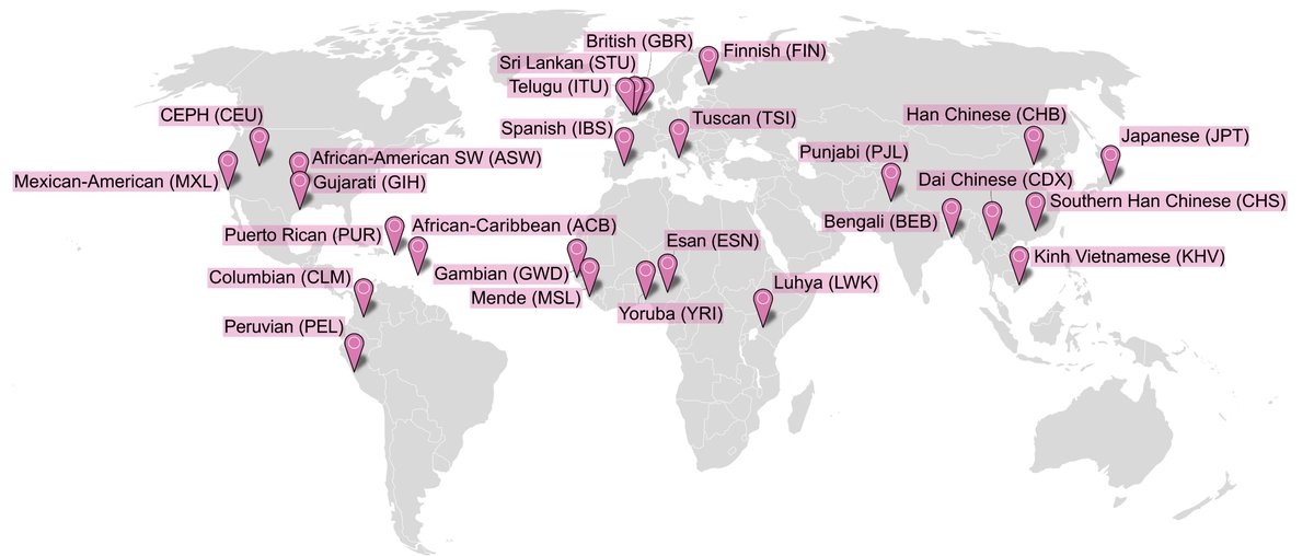 Our latest study led by @tlrdln22 examines the sources of gene expression variation in a diverse human sample. We hope that these RNA-seq data from cell lines of 731 individuals in the 1000 Genomes Project will serve as a useful resource for the field. biorxiv.org/content/10.110…