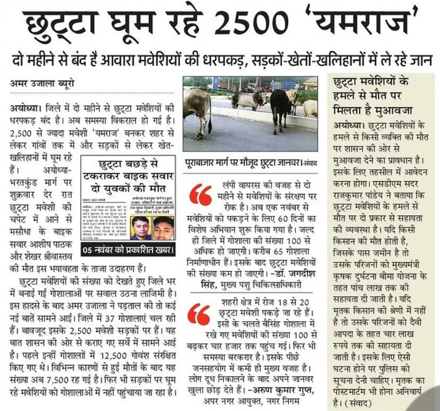 छुट्टा पशुओं के लिए भाजपा सरकार स्पष्टीकरण दे : 

- भाजपा शासन में कितने लोग छुट्टा पशुओं की वजह से मारे गये या घायल हुए

- छुट्टा पशुओं के कारण जिनकी मौत हुई उनमें से कितनों को मुआवज़ा दिया गया और कितना दिया गया

- जो गौशालाएं खोली गयीं हैं उनमें कुल कितने छुट्टा पशु हैं

-