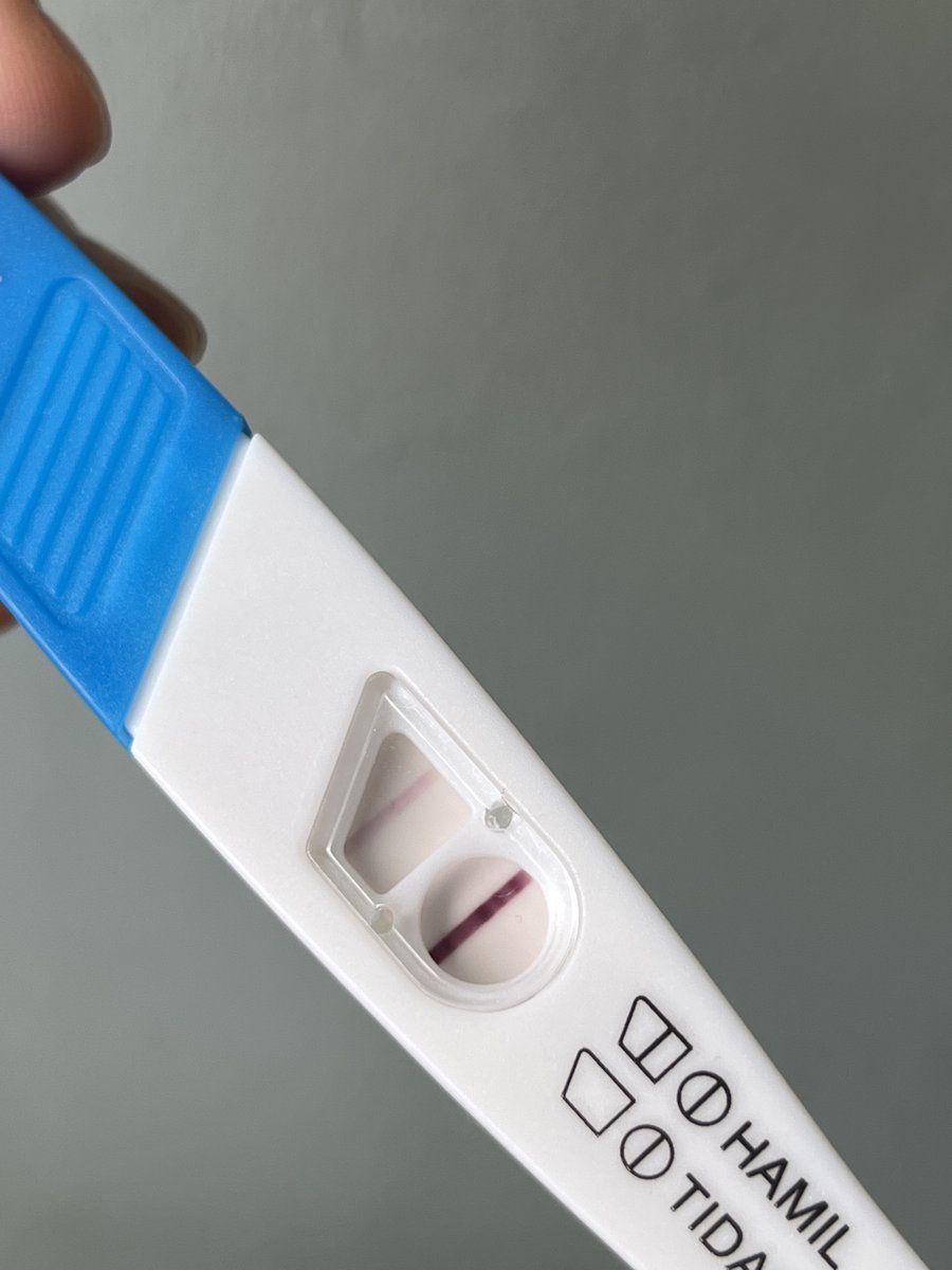 MEK.txt ⌨️ tweet media