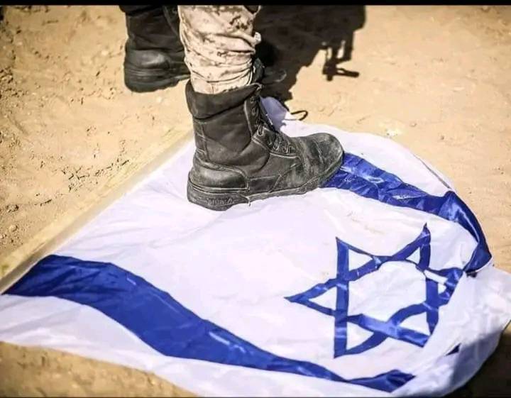 Catena Umana (@catenaumana) on Twitter photo 