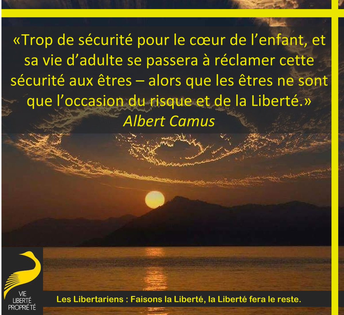 StephaneGeyres's tweet photo. Trop de sécurité pour le cœur de l’enfant, et sa vie d’adulte se passera à réclamer cette sécurité aux êtres - alors que les êtres ne sont que l’occasion du risque et de la liberté.
Albert Camus
libertarien
#Liberté #Risquer #LaissezFaire #Responsabilité https://t.co/b64zx6XGg1