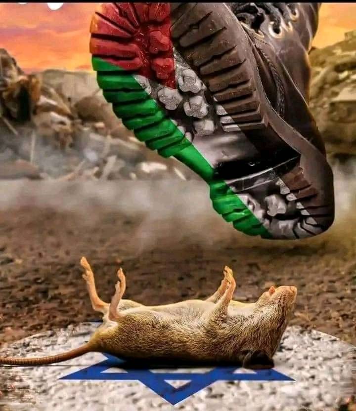 Catena Umana (@catenaumana) on Twitter photo 