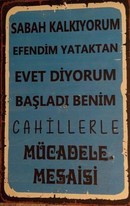 AkkayaBelguzar's tweet image. Günaydın 🍂🙋‍♀️🎉☕️💐🥳
yeni bir haftaya başlıyoruz 
işiniz gücünüz rast gelsin 
#GetirBoykot