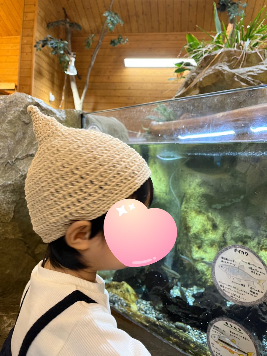 317maru's tweet photo. 動物が大好きな姪っ子😍と実家の🐈さん https://t.co/ymm07GiuO7