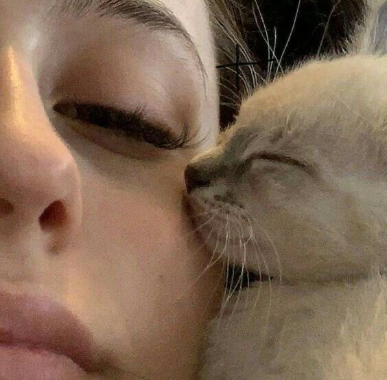 💖 (@twaniimals) on Twitter photo 