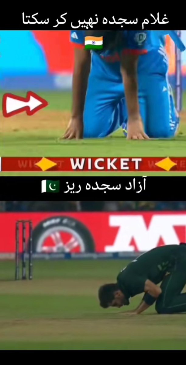 Muhamma09373405's tweet photo. Shami      vs   Shaheen   
            🌺   (Muslims)🌺 https://t.co/mu91GgD33F