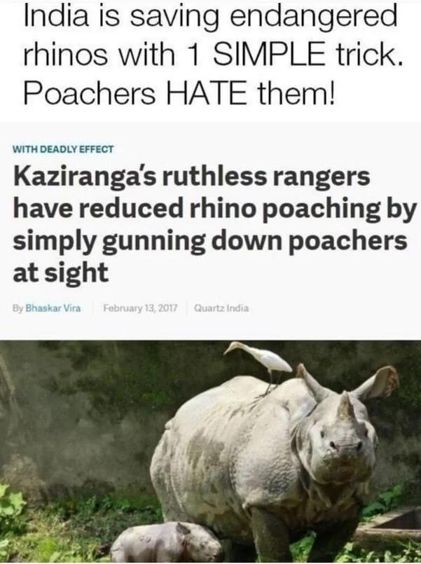 interesting_aIl's tweet image. 