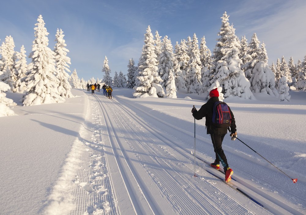 WhitePassByway's tweet photo. Find your list of cross-country skiing trails along the byway and find one to suit your tastes! https://t.co/PwFa3yS1Rb https://t.co/g6wdWRTtrp