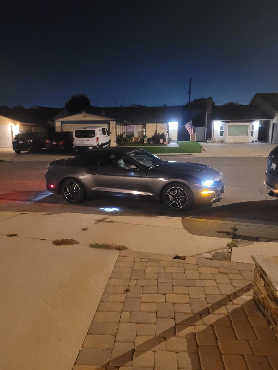 Mr Muhlik tweet media