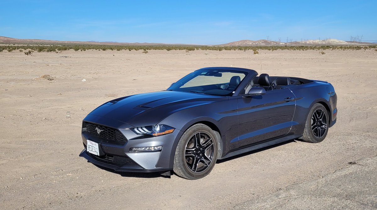 Mr Muhlik tweet media