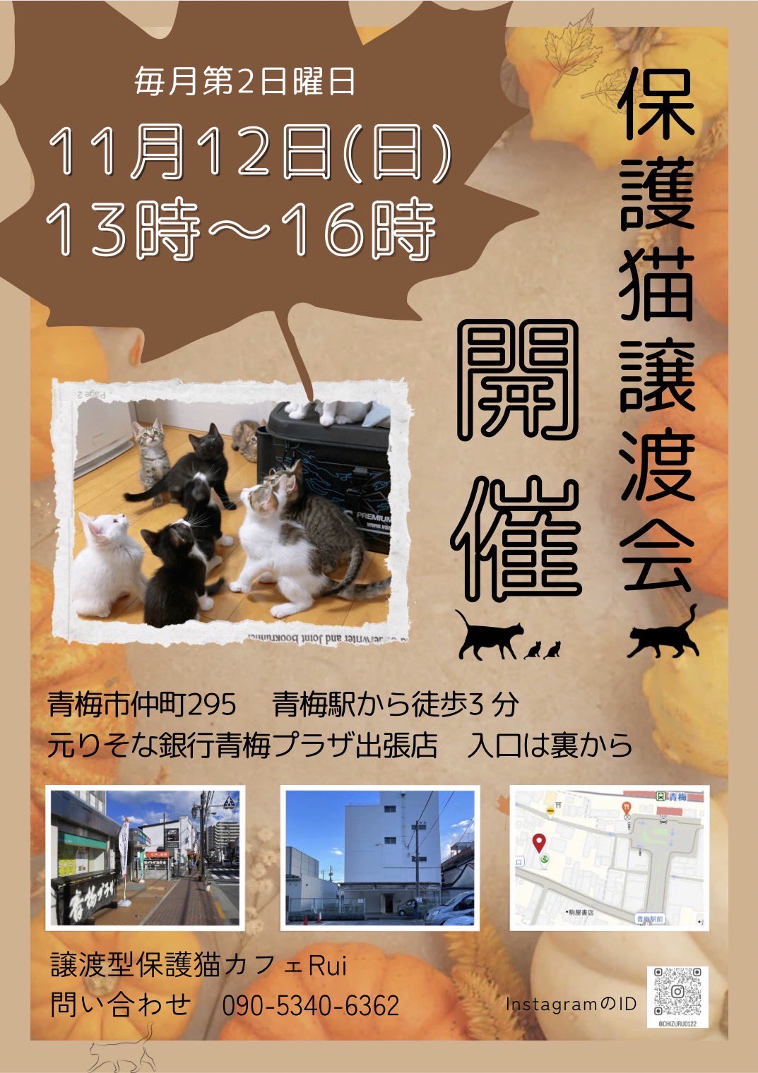 tsunagu-cat on X: 🧁イベント情報🧁 保護猫譲渡会🐱青梅プラザ 11月12日(日)13:00〜16:00 東京都青梅市仲町295  元りそな銀行 青梅駅から徒歩3分🚶‍♀️ インスタライブも予定しています🙋‍♀️ 保護猫譲渡会 青梅プラザ 青梅市譲渡会 キジトラ多め  拡散希望 https ...