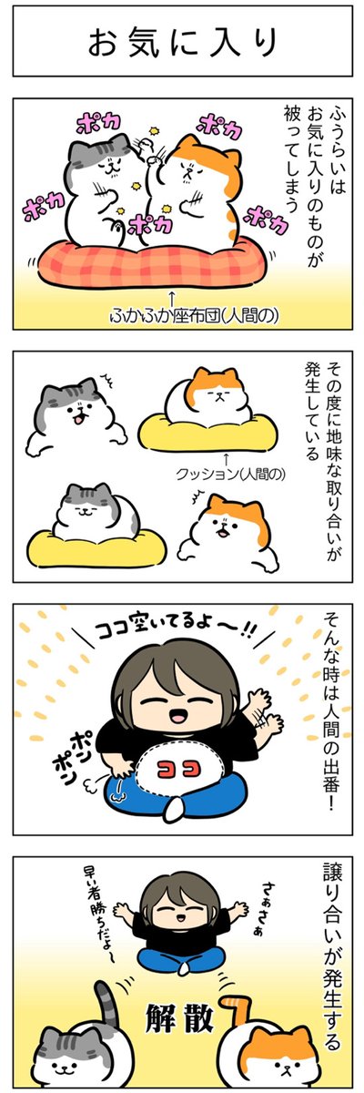 お気に入り・葛藤│フェリシモ猫部 