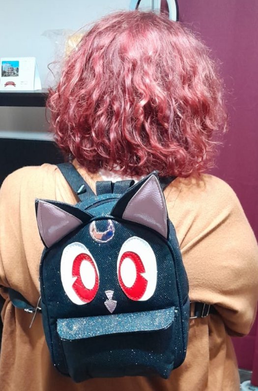 Shampoo Neko tweet media