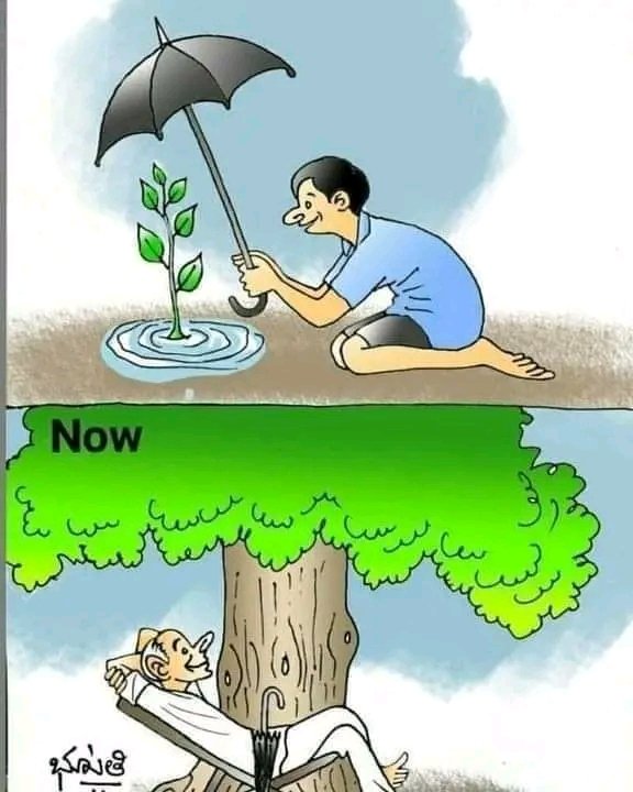 Short and Clear Story of the day...🌳🌳🌳