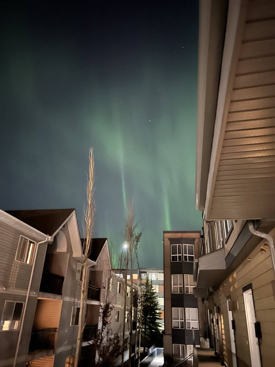 🤩

 #northernlights