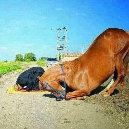 Just reply with “Allahu Akbar” ❤️🙏
