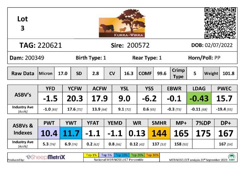 Kurra-Wirra tweet media