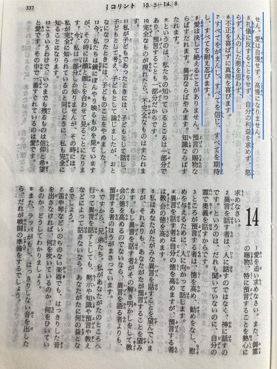 アラレ tweet media