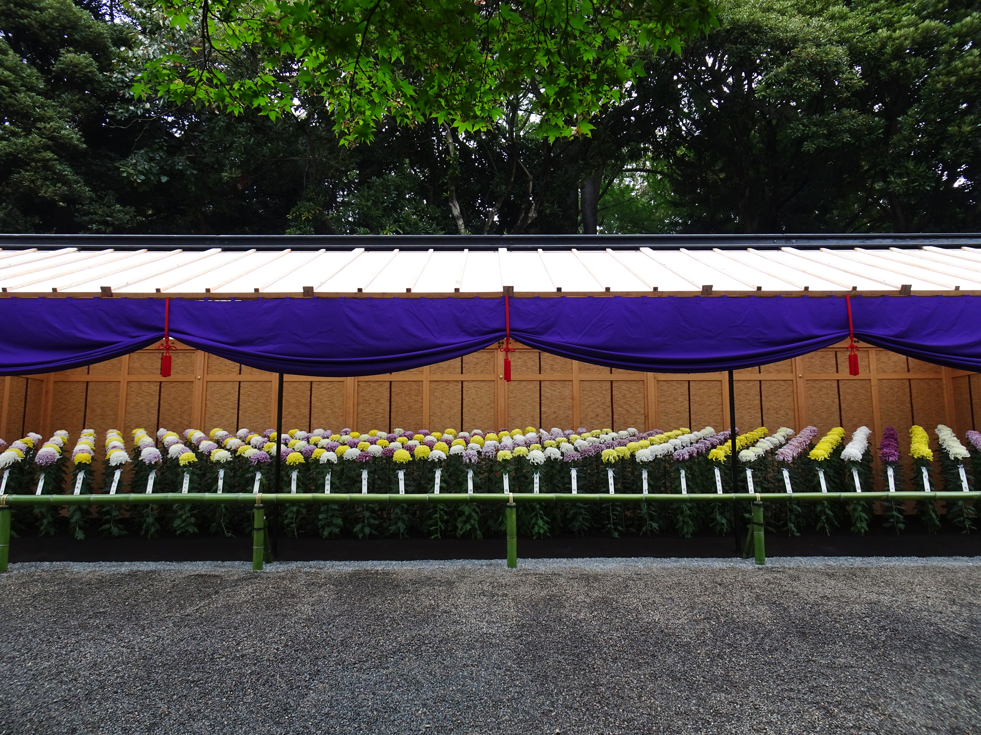 山田太郎 山田太郎 明日に向かって美しく CW-647 | レコード買取