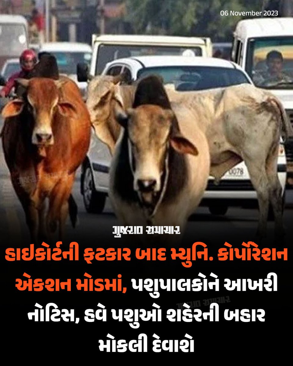 maulinshah9's tweet photo. જોઈએ એતો મ્યુ.કો વાળા ઢોર માલિકો સાથે કઈ રીતે વ્યવહાર કરે છે અને કેટલા ઢોરને શહેરની બહાર મોકલી દેવાશે!..?
કોર્પોરેશનમાં જેટલો 'સત્તા આશ્રિત મિલીભગતિયો ભ્રષ્ટાચાર' ચાલે છે એવો ક્યાંય નહીં હોય!
#StrayCattle #CattleControl #MunicipalCorporation #GujaratHighCourt #GujaratModel https://t.co/QjKht0QDnX