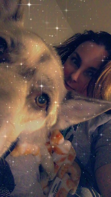 &ldquo;Movie Night&rdquo; with the Doggos is a rare &amp; magically wonderful thing! ✨ https://t.co/zKSSDnrDnR