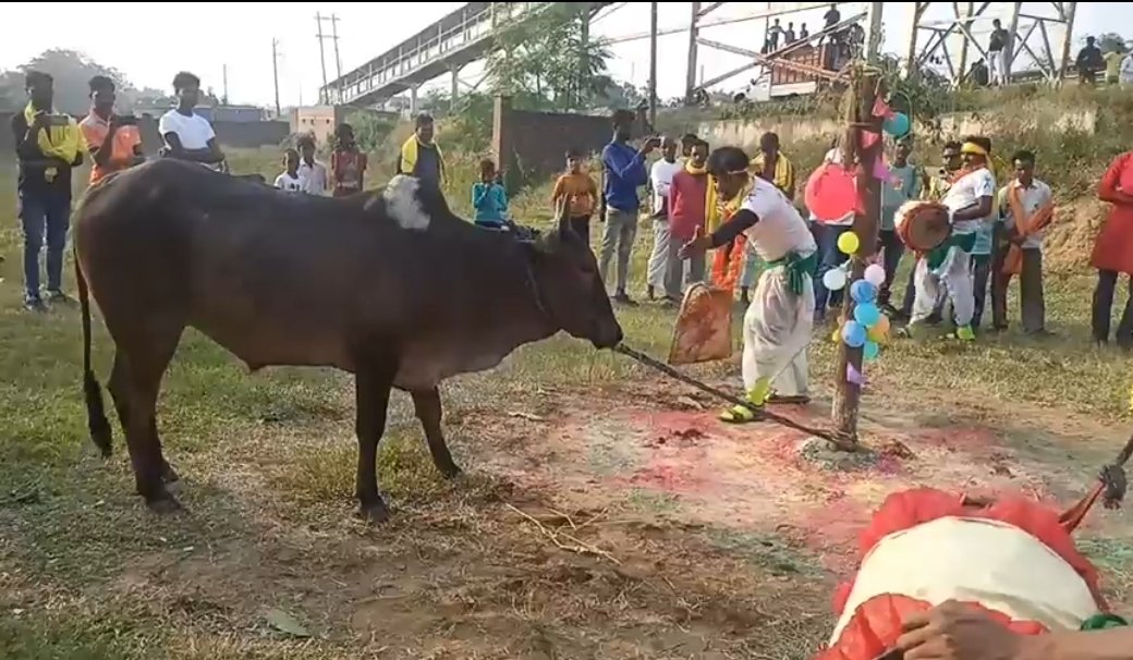 BalihariJhumarM's tweet photo. डहरे सोहराय परब
बरवड्डा से बगोदर टक
81 गुस्टि, 81 आखड़ा, 81 किलोमीटर 
🙏🙏🙏
@BalihariJhumarM @Tigerjairam @montirocker6121 @BabyKumariMaha3 @BabyMahato1 @PritamM20563087 @J_Masti @BabyRaniMahato1 https://t.co/wiEUTromXR