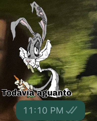 soy el