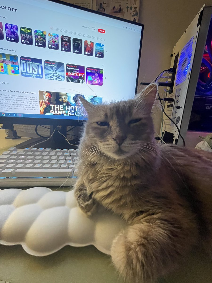 Bugün Pekmez’i sahiplenmemin 4. yıldönümü 🥹💖