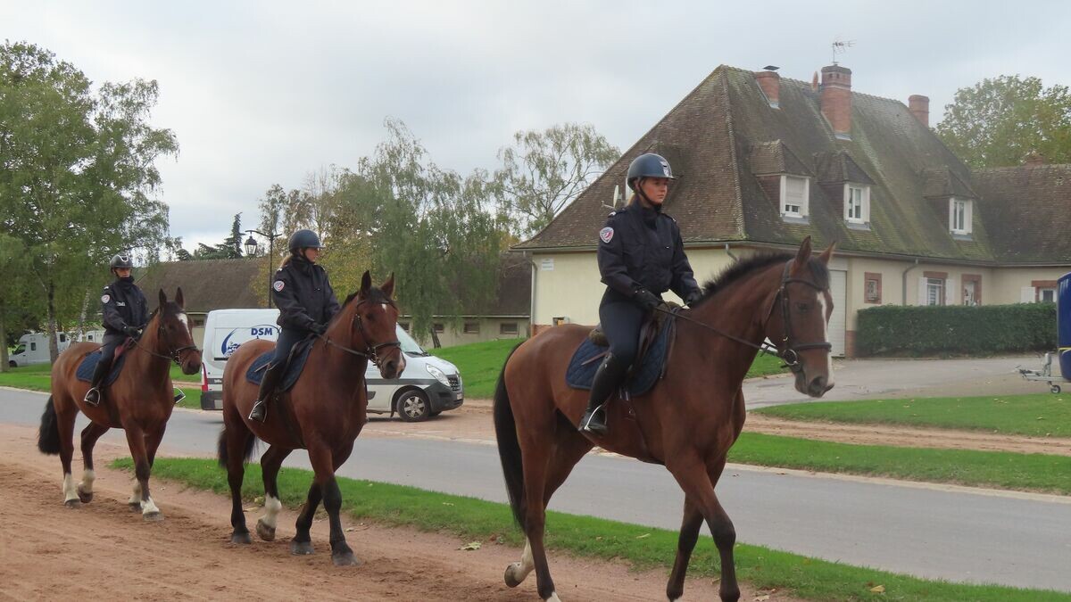 leparisien_94's tweet image. Une brigade équestre dans les rues du Val-de-Marne : « Le cheval a une image rassurante »
➡️ l.leparisien.fr/WkWd