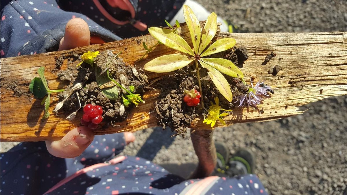 guten morgen ausm herbstlichen #wienerwald 
archiv 061121 #welovetwins #OmOpa