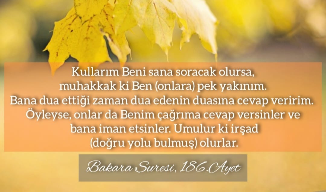 Bakara Suresi, 186.Ayet:

Kullarım Beni sana soracak olursa, muhakkak ki Ben (onlara) pek yakınım. Bana dua ettiği zaman dua edenin duasına cevap veririm. Öyleyse, onlar da Benim çağrıma cevap versinler ve bana iman etsinler. Umulur ki irşad (doğru yolu bulmuş) olurlar.