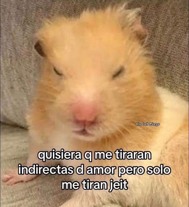 eldanyofic's tweet photo. @lajose  Chama no salimos de una Jajaa 😿 https://t.co/j1PtzONuWm